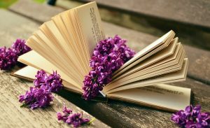 book-759873_640