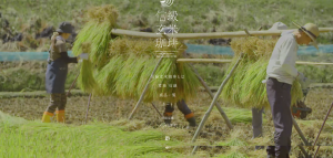 screencapture-nobushina-coffee-1472459056662