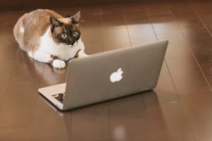 CAT9V9A9145_TP_V
