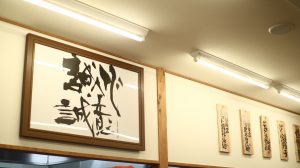IMG_5058